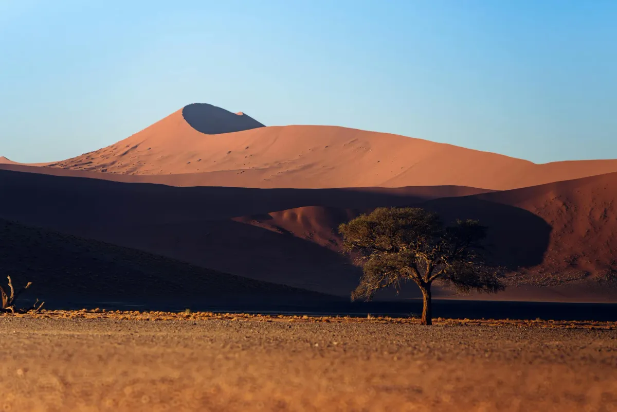 DeadVlei Sossusvlei