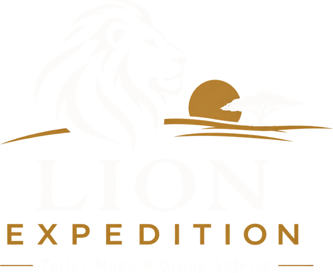 Lion Expedition – Tailor Made & Group Safaris