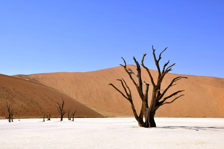 Deadvlei vor roten Dünen