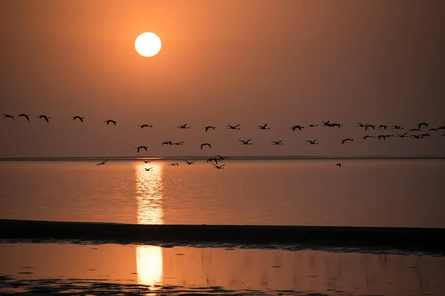 Flamingos bei Sonnenuntergang in Walvis Bay