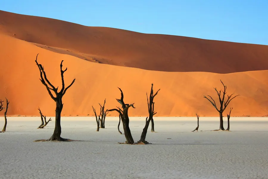 Deadvlei vor roten Dünen